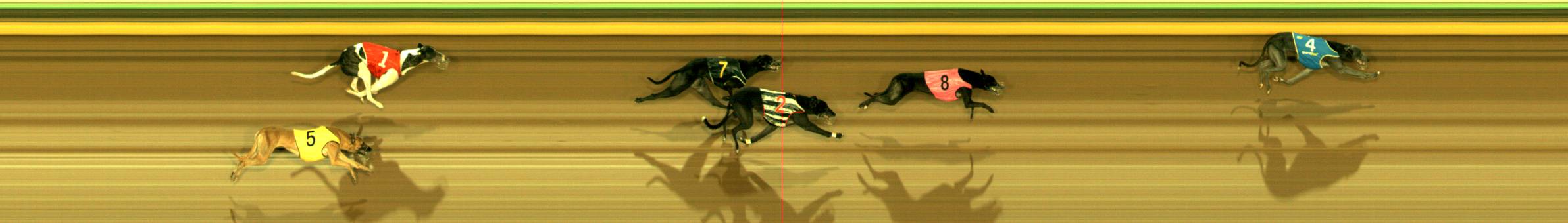 Race result finish photo